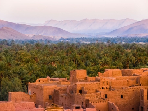 A scenic view of mountains and lush palm trees near historic ruins.