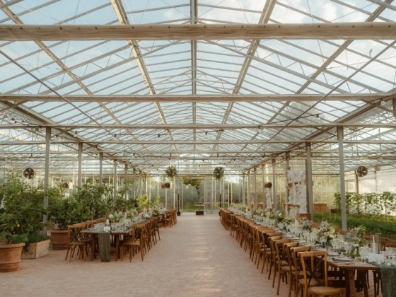 Elegant dining arrangement in a greenhouse setting.
