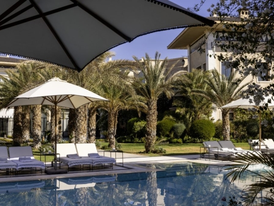 A serene scene of a pool surrounded by palm trees.
