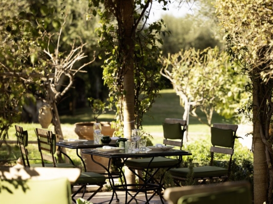 Relaxing cafe setting surrounded by greenery