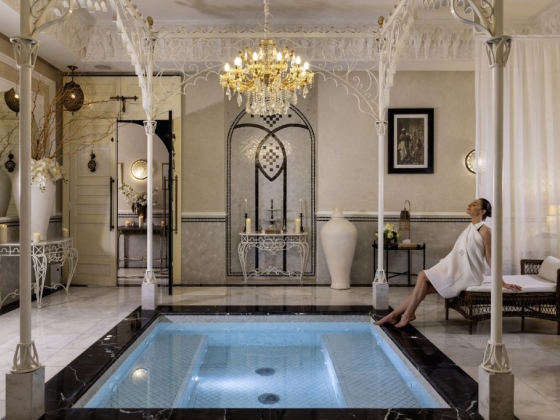 A serene spa space featuring a small pool and elegant decor.