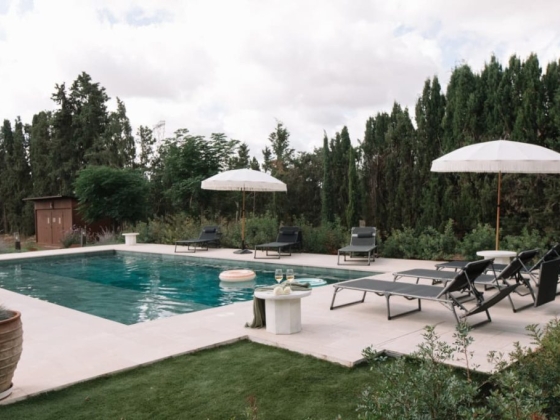 Inviting outdoor pool area with seating and greenery.