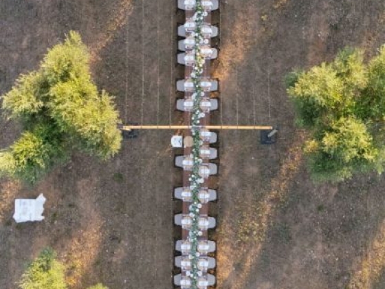 Aerial view of a long table set for dining in nature.