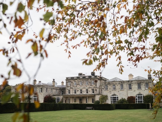 A grand estate viewed through colorful leaves.