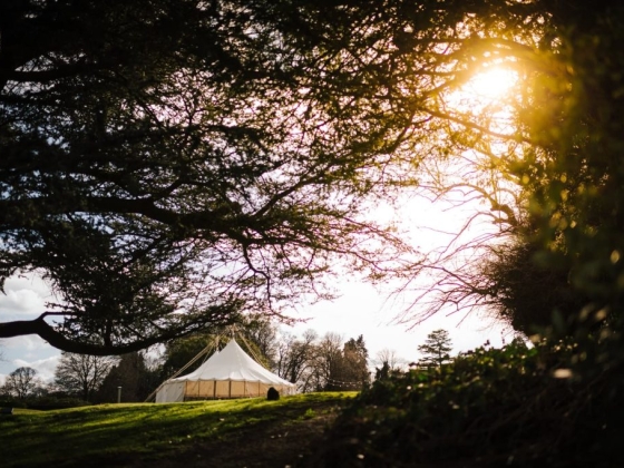A serene view of a tent in a natural setting.