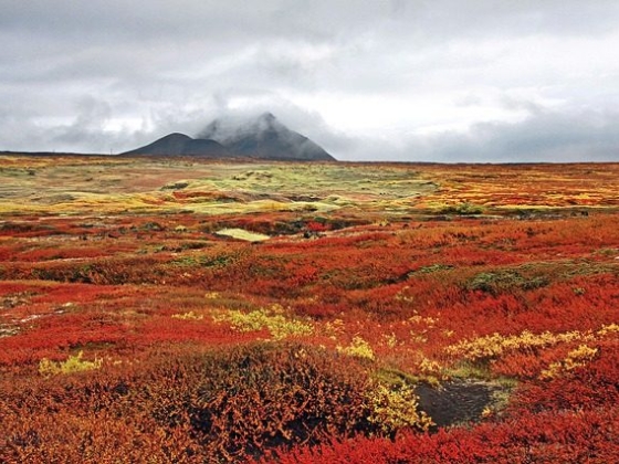 Luxwedding Iceland