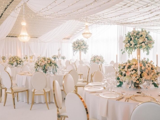 Dale Alexander Events