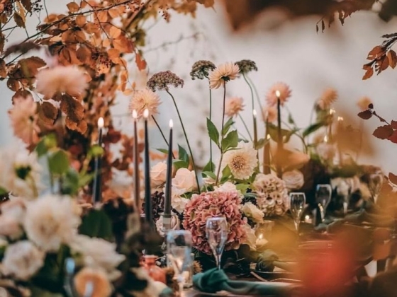 Dale Alexander Events