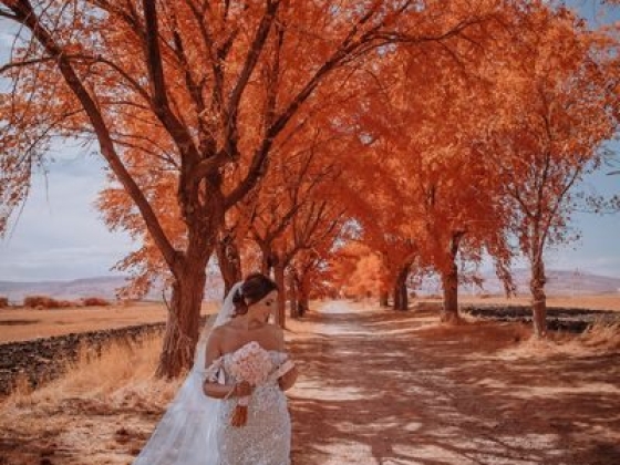 Pino Coduti Photography