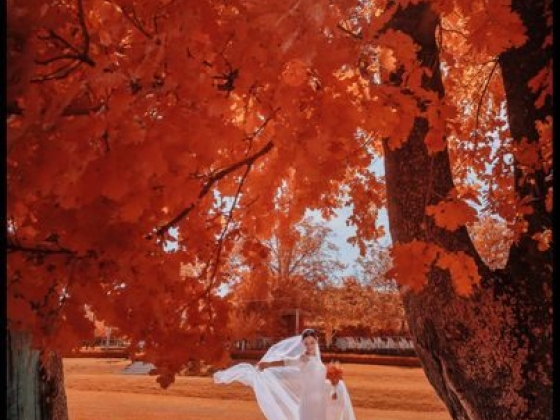 Pino Coduti Photography