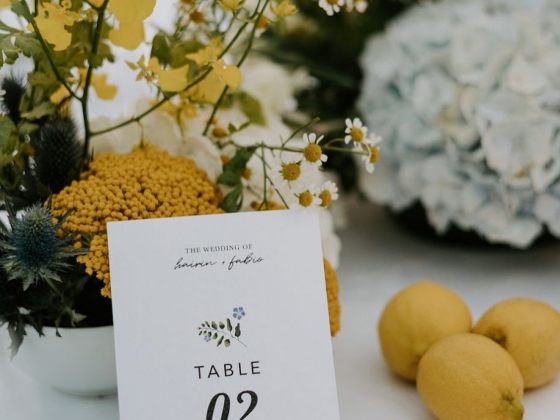 Marica Events