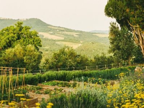 Castello di Casole, A Belmond Hotel