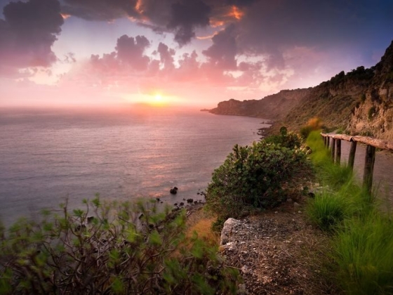 Alessandro Mari Photography