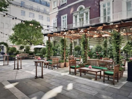 Charming patio with wooden furniture and decorative plants.