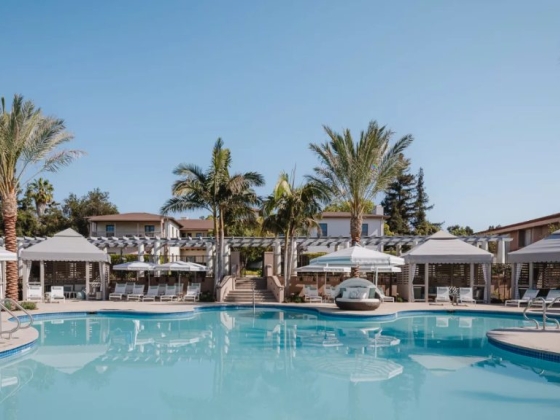Beautiful poolside setting with lush greenery.