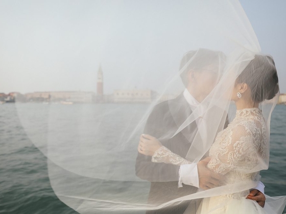 Angel Lion Weddings and Events