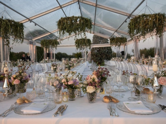 Angel Lion Weddings and Events