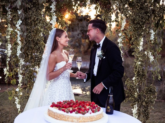 Angel Lion Weddings and Events