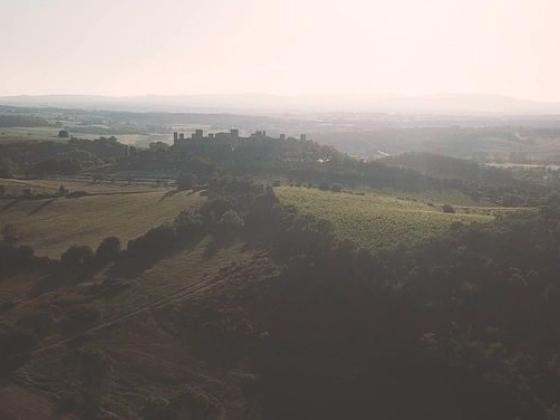 Whitesfilm Wedding Videography