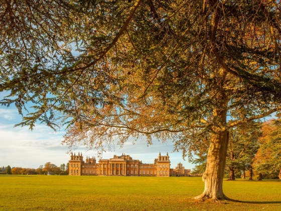 Blenheim Palace