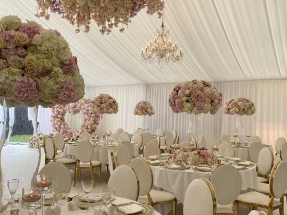 Charlotte Elise Weddings & Events