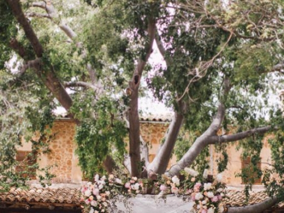 Alago Events