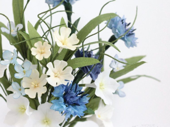 Immaculate Confections