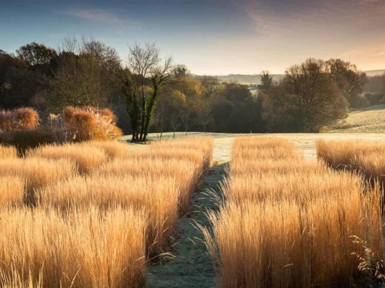 Bury Court