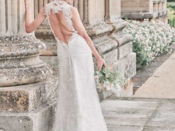 Shimmering Ivory
