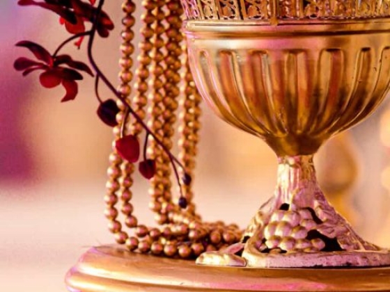 Naureen Khan Events