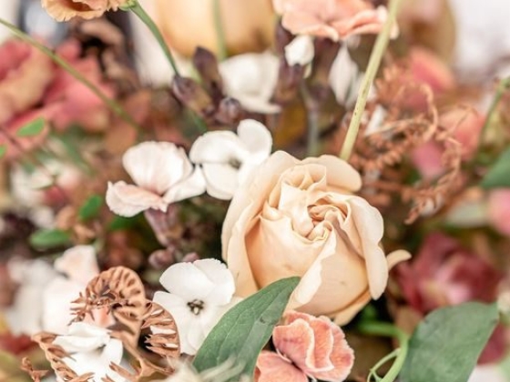 Victoria Amrose Photography