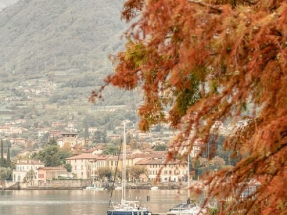 Victoria Amrose Photography