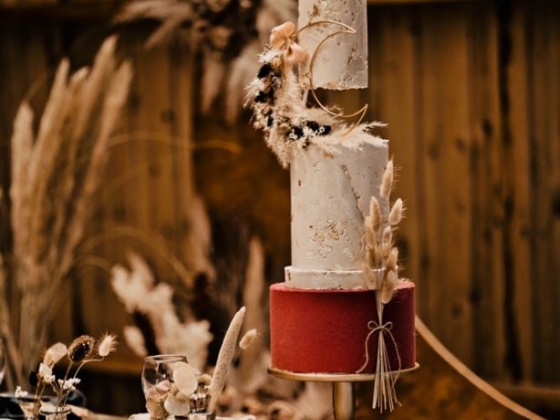 Cake Design By Holly Miller
