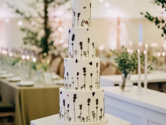 Cake Design By Holly Miller