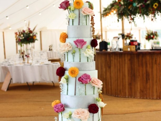 Cake Design By Holly Miller