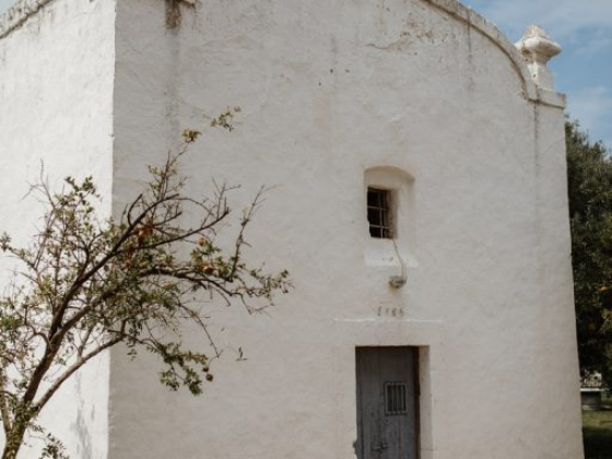 Tenuta Pinto