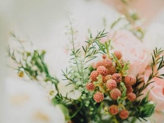 Exploring 20 Captivating Summer Wedding Colour Palettes