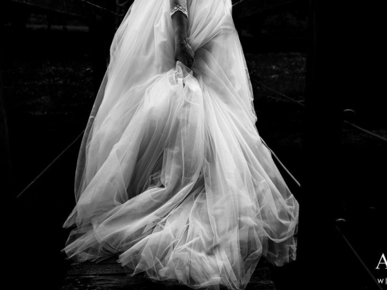LightanDreams Photography