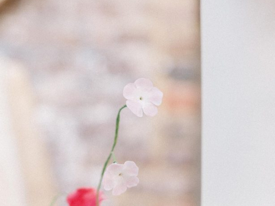 Monannie Cakes & Confectionery