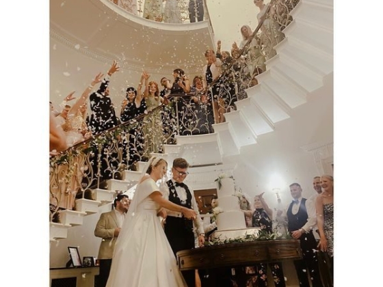 Box Tree Events