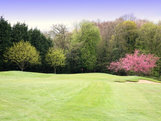 Shendish Manor Hotel & Golf Course