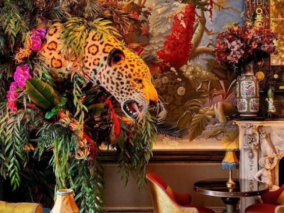 Wildabout
