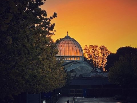 Hilton London Syon Park
