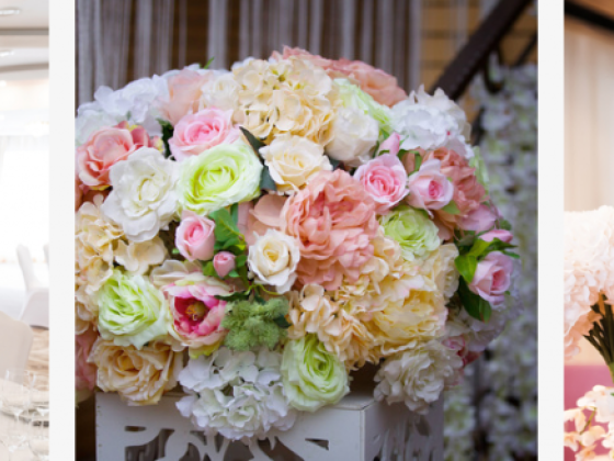 Flowers & Plants Co