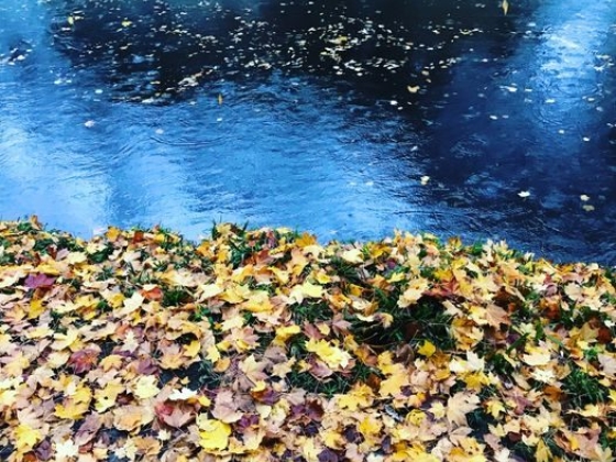 The Lake Country House Hotel & Spa