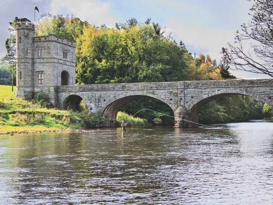 Glanusk Estate