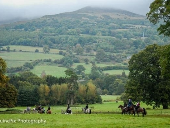 Glanusk Estate