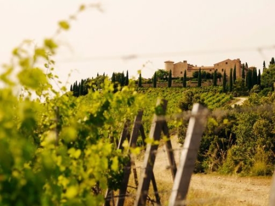 Collemassari
