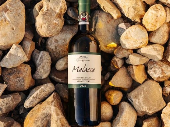 Collemassari