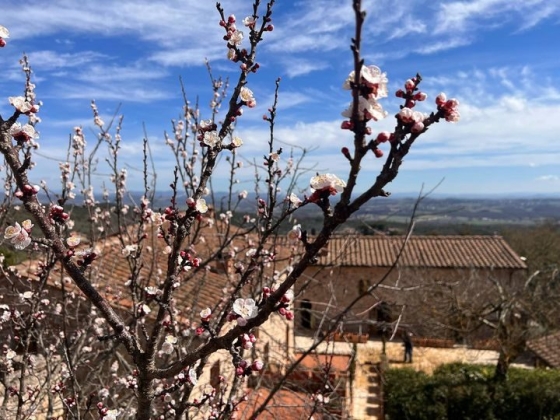 Relais La Costa Tuscany